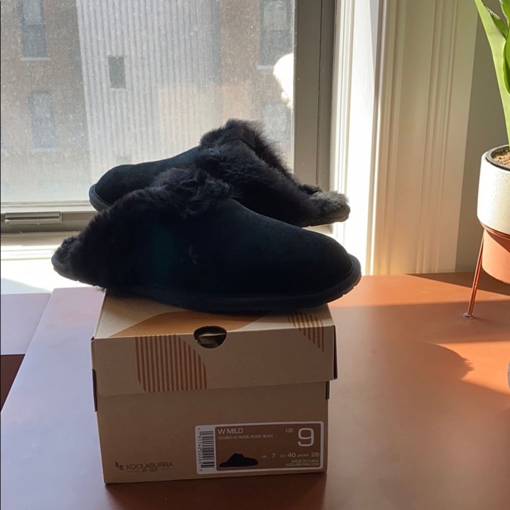 Kookaburra UGG Koola Milo Slippers Size 9